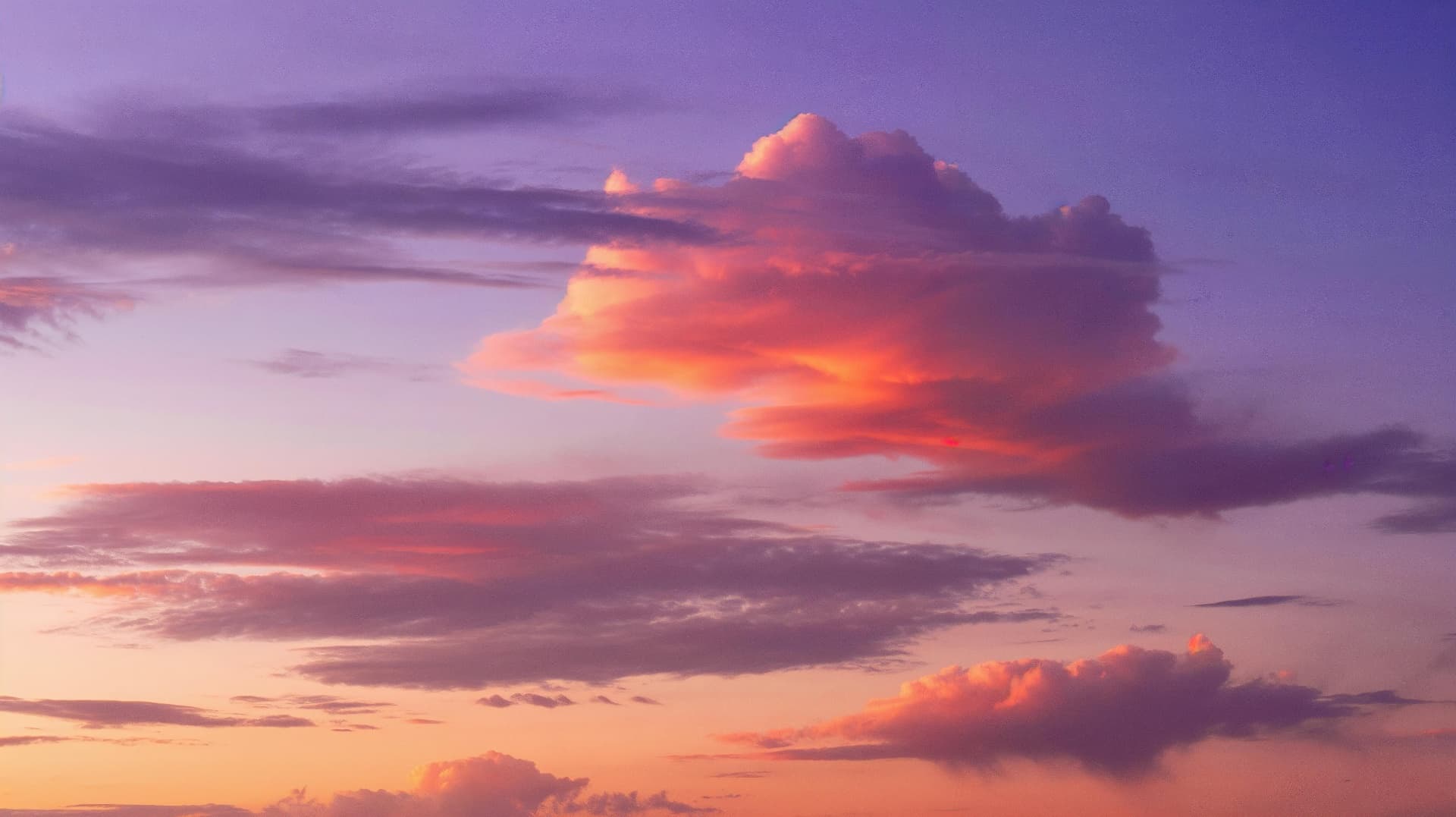 Michele Reiner memorial cover